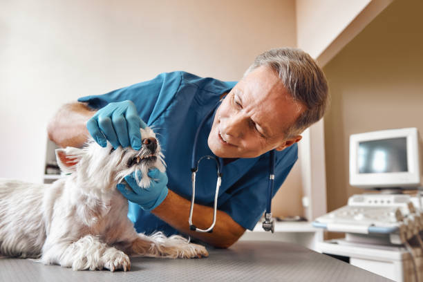 Best Emergency Tooth Extraction in Beulah, ND
